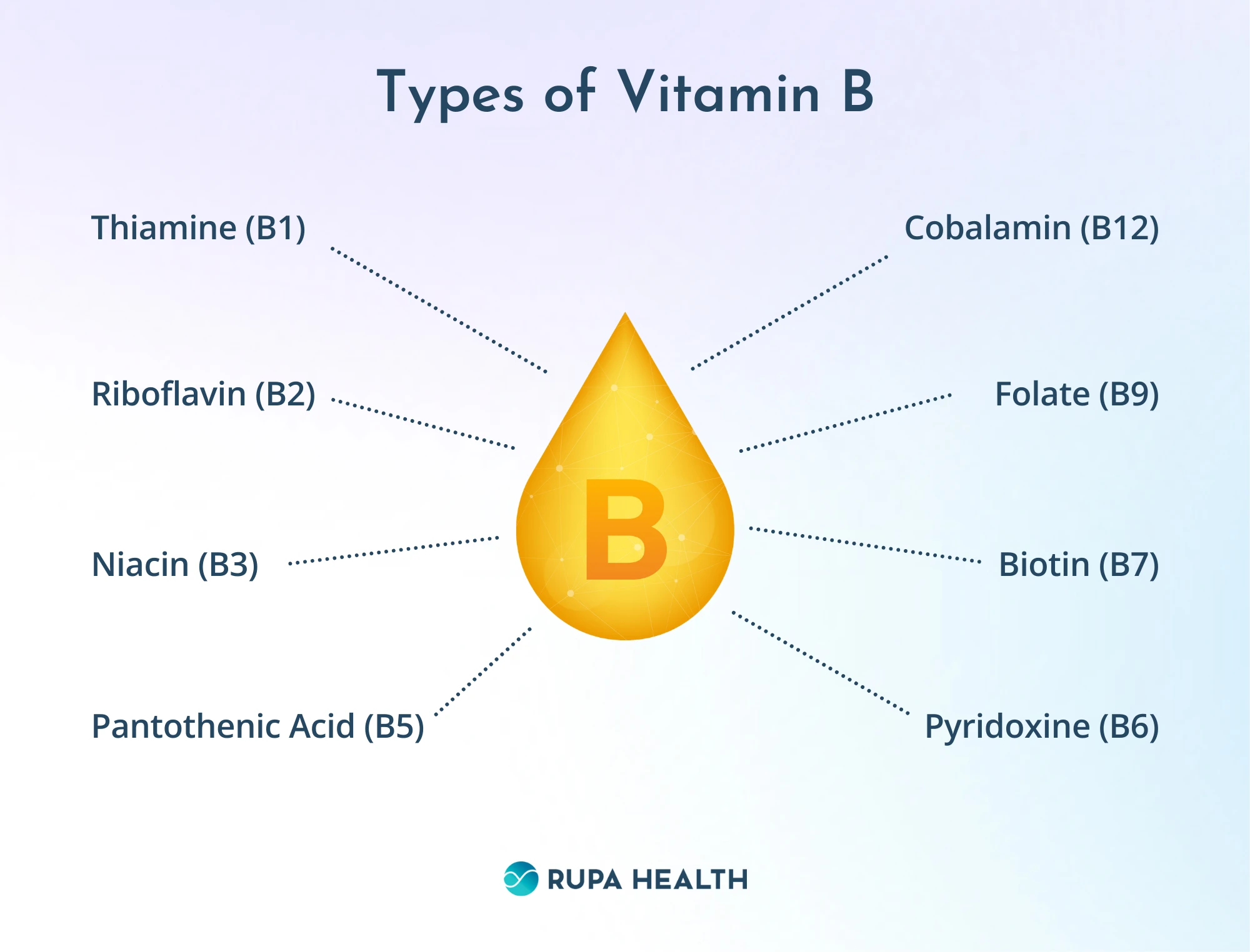 B Vitamins: Benefits, Natural Sources, and Health Impacts