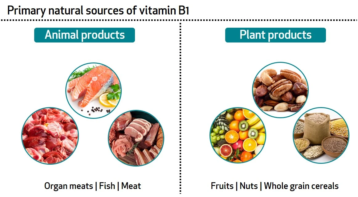 Vitamin B1 (Thiamine) Sources