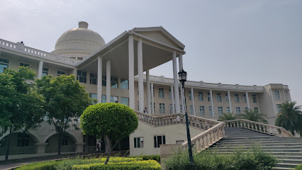 Noida International University